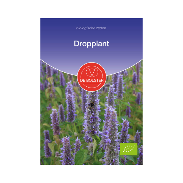 De Bolster Zaden - Dropplant