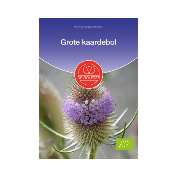 De Bolster Zaden - Grote kaardebol