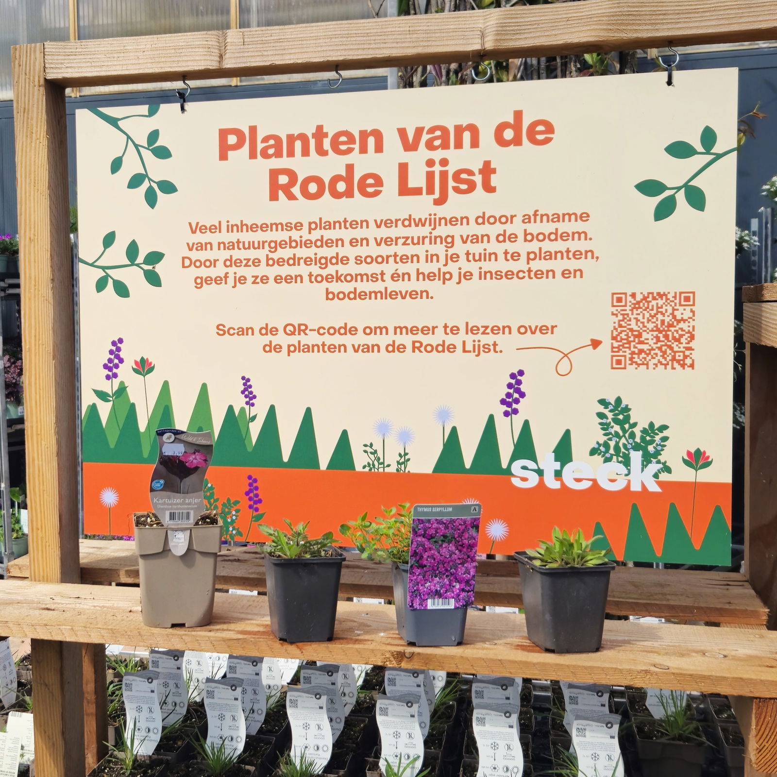 display vier bedreigde inheemse planten