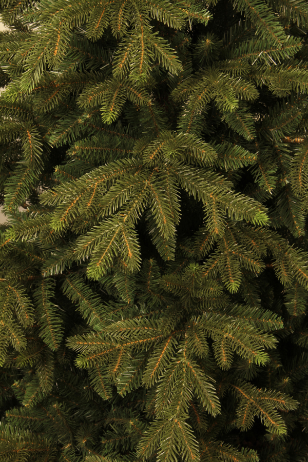 Macallan kerstboom groen TIPS 3238 - h260xd150cm - Afbeelding 3