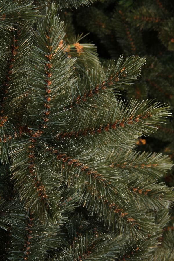 Forest frosted kerstboom newgrowth blue TIPS 2037 - h260xd168cm - Afbeelding 3
