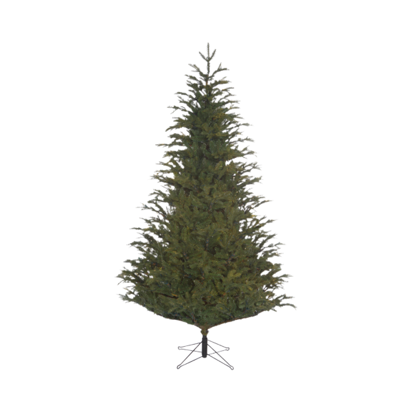 Frasier kerstboom groen TIPS 7948 - h365xd193cm