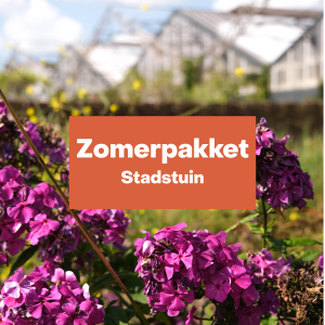 Zomerpakket tuin - klein