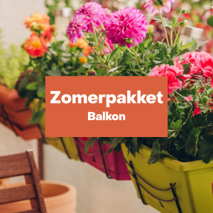 Zomerpakket balkon - groot