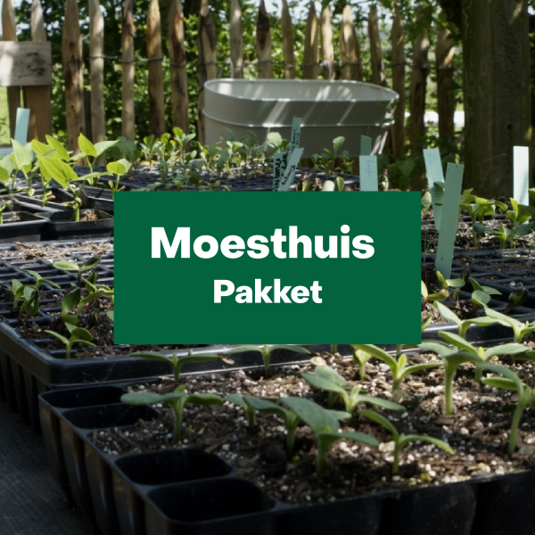 Moesthuis pakket - klein