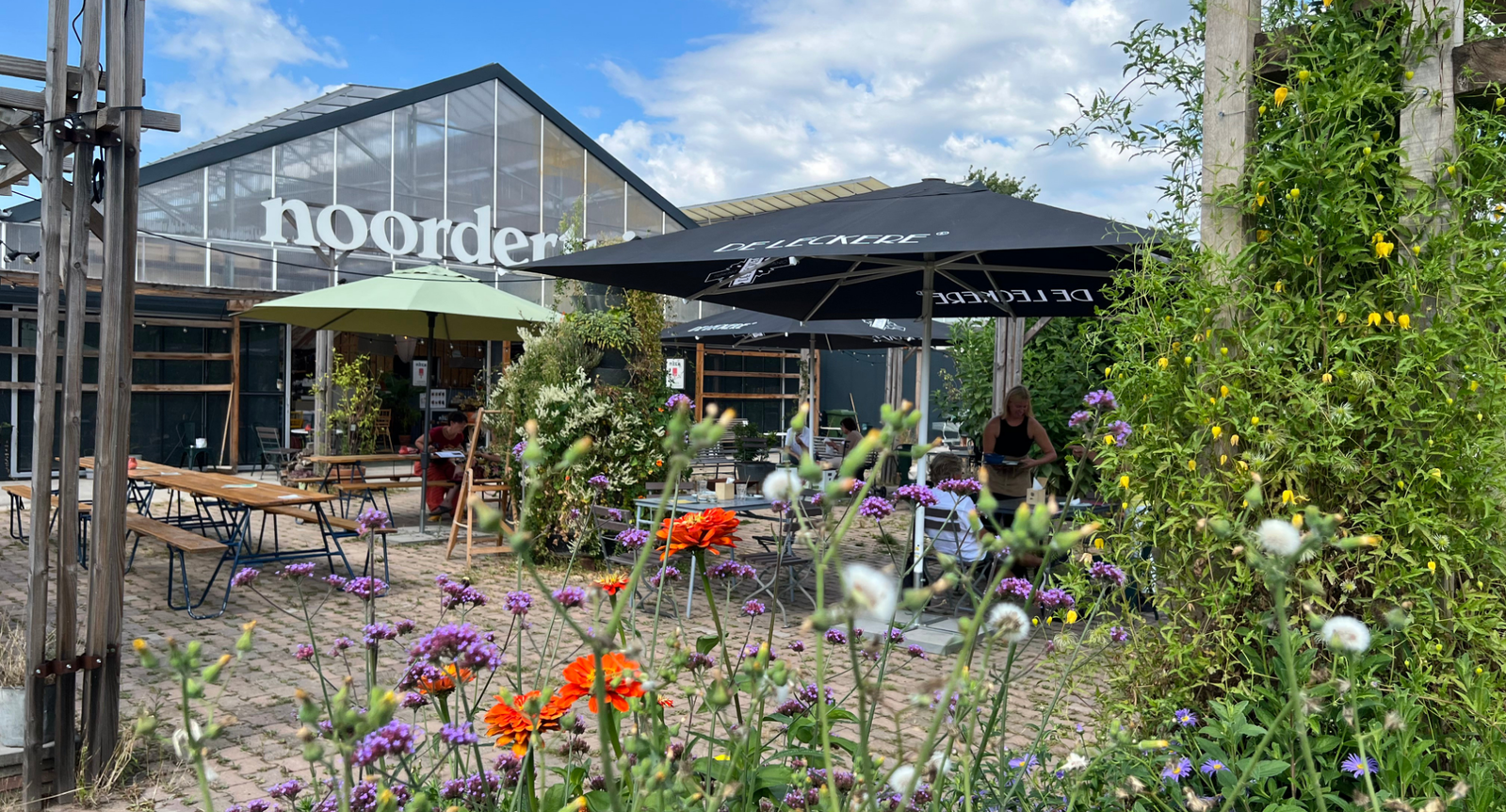 Van film naar bord: dineravonden bij Noordertuin
