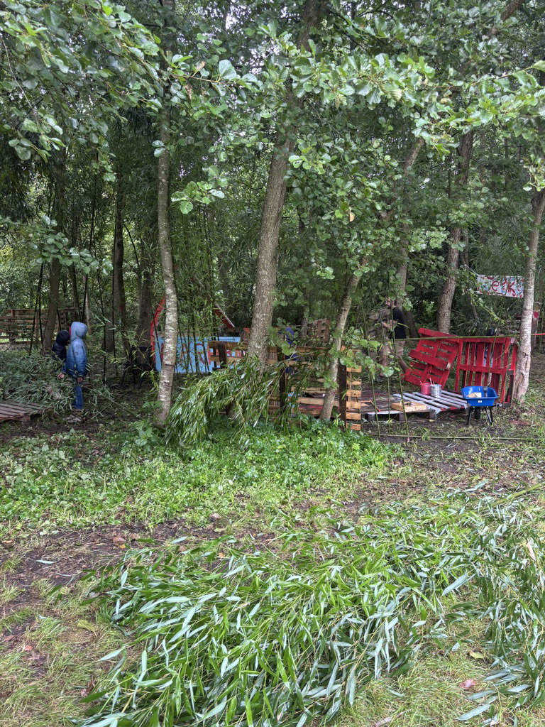 Hutten van pallets en bamboe in het bamboebos van Steck