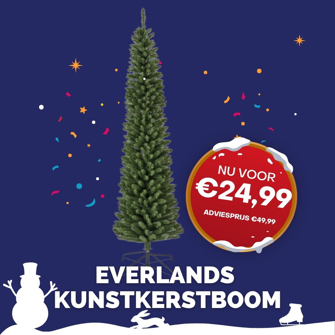 Everlands Pencil Pine 150 cm