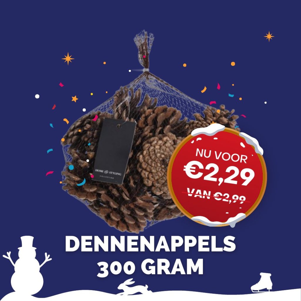 Kerstaanbieding: Dennenappels 300 gram, nu voor €2,29 (van €2,99)
