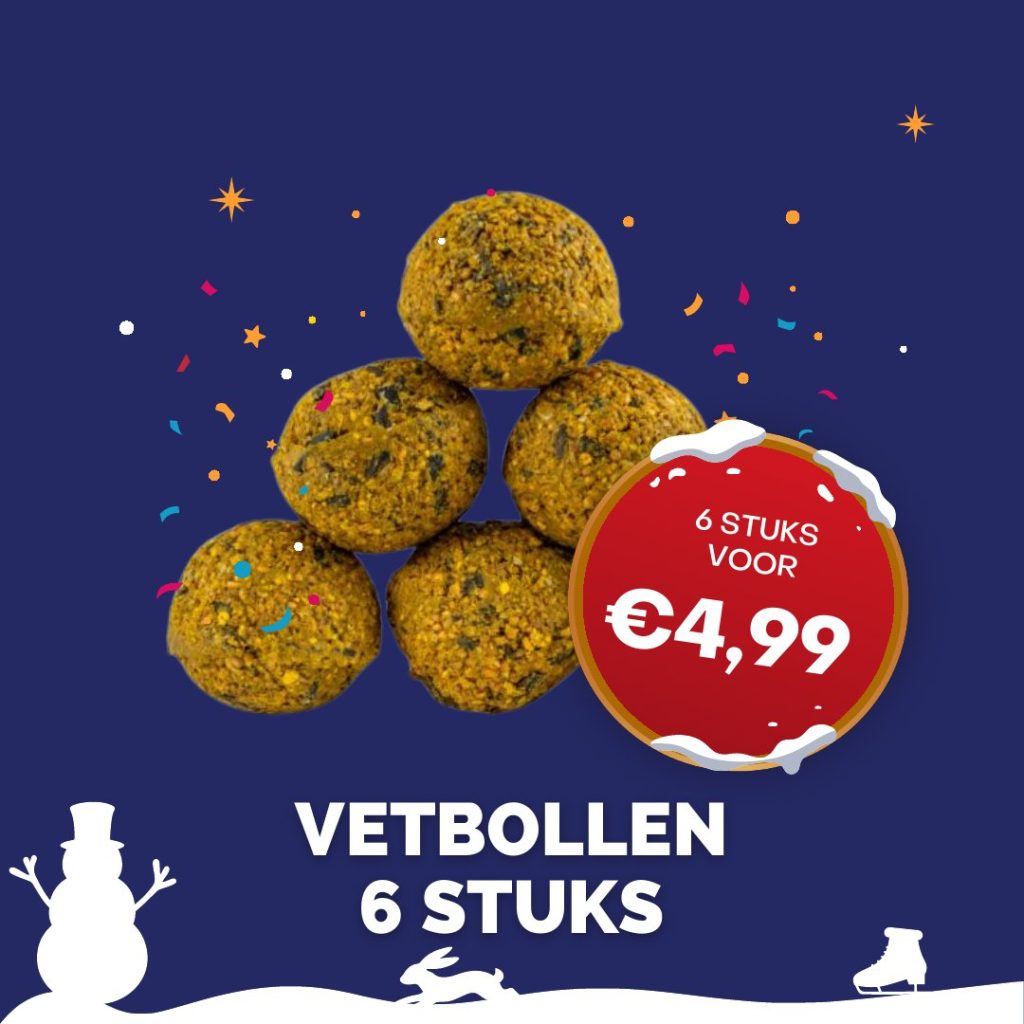 Kerstaanbieding: Vetbollen, 6 stuks voor €4,99