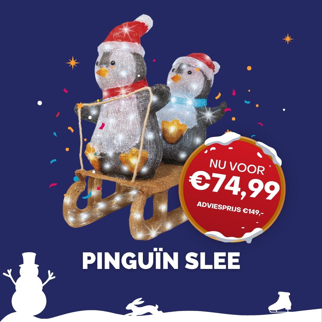Pinguïns op slee met verlichting