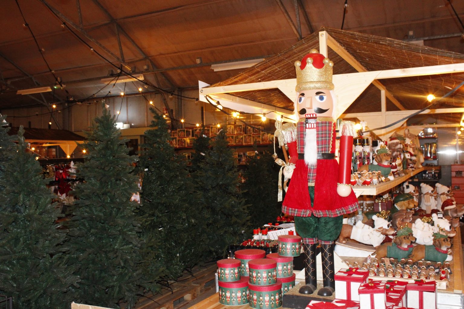 Grote notenkraker tussen de kerstbomen bij Steck