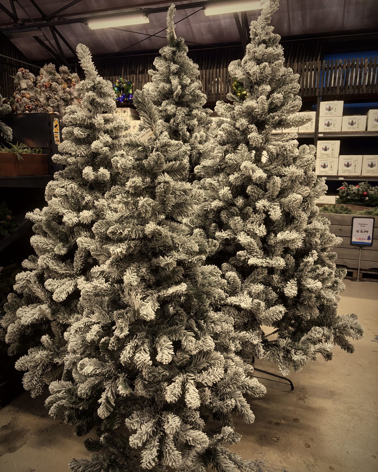 Besneeuwde kunstkerstbomen bij Steck
