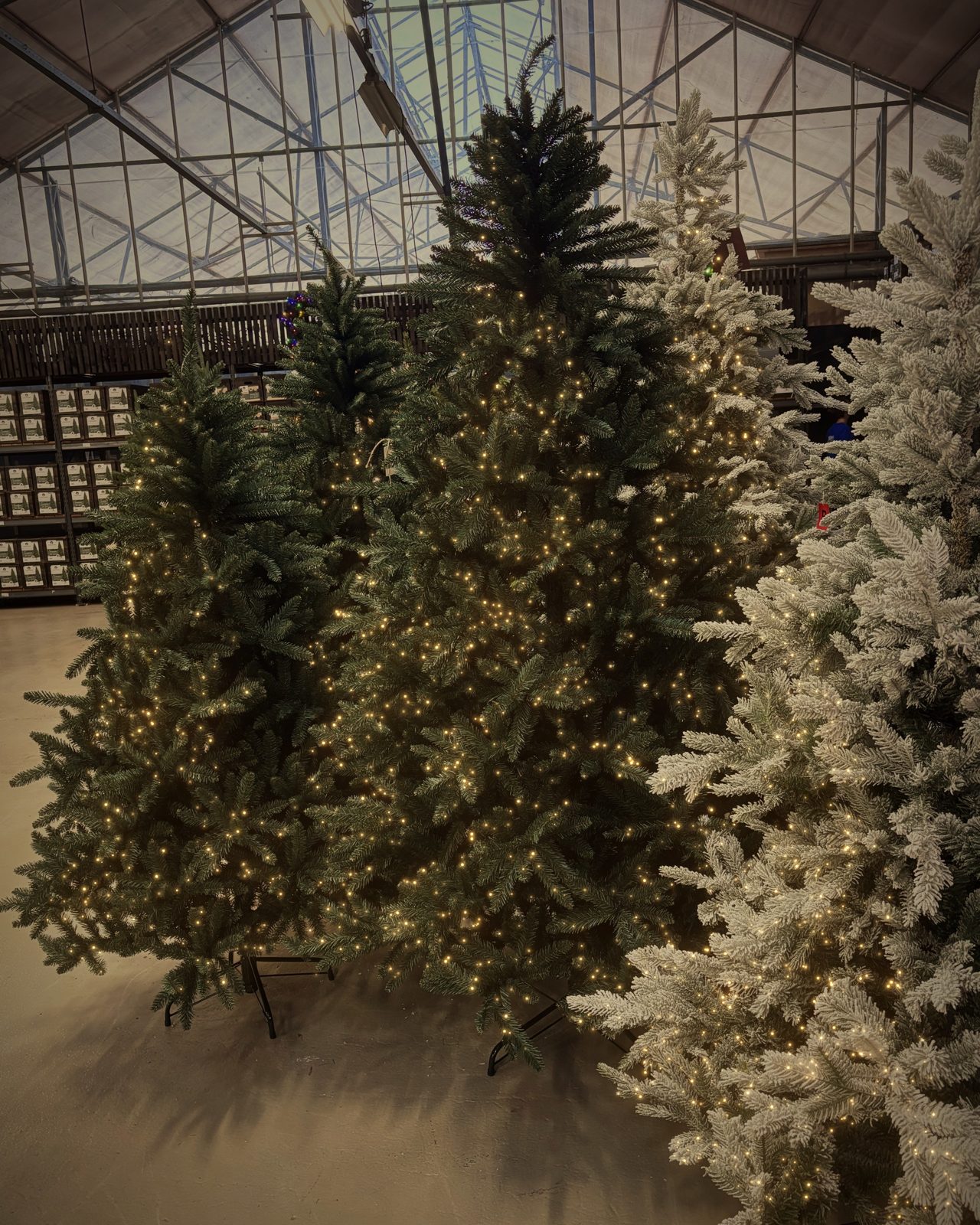 Groene en besneeuwde kunstkerstbomen met lampjes bij Steck
