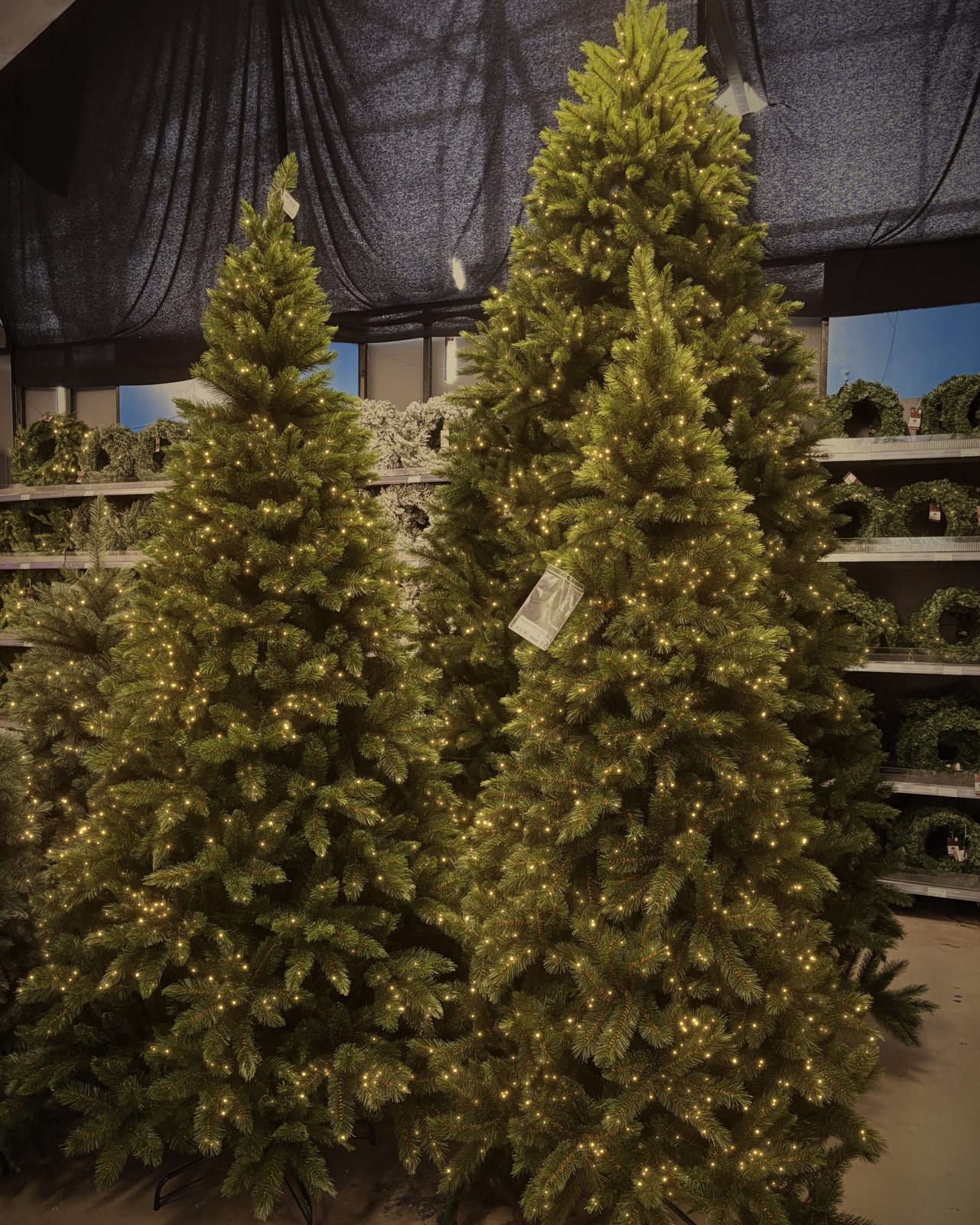 Groene kunstkerstbomen met warmwitte lampjes bij Steck