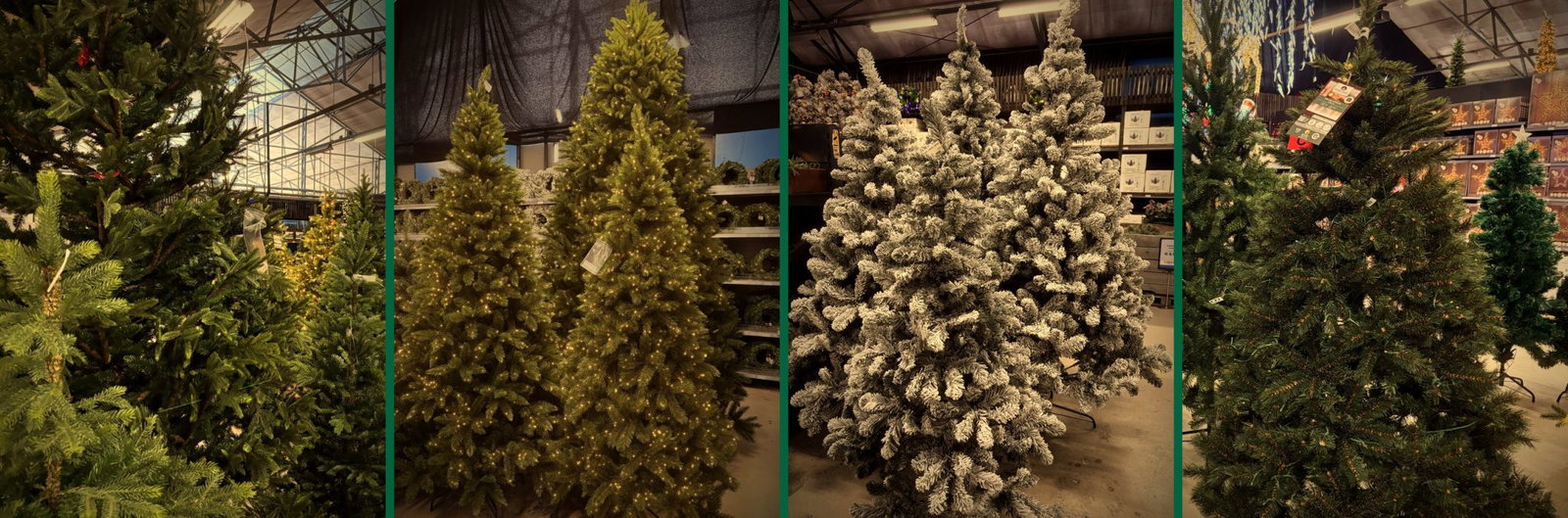 Kunstkerstbomen bij Steck: met lampjes, besneeuwd en groen
