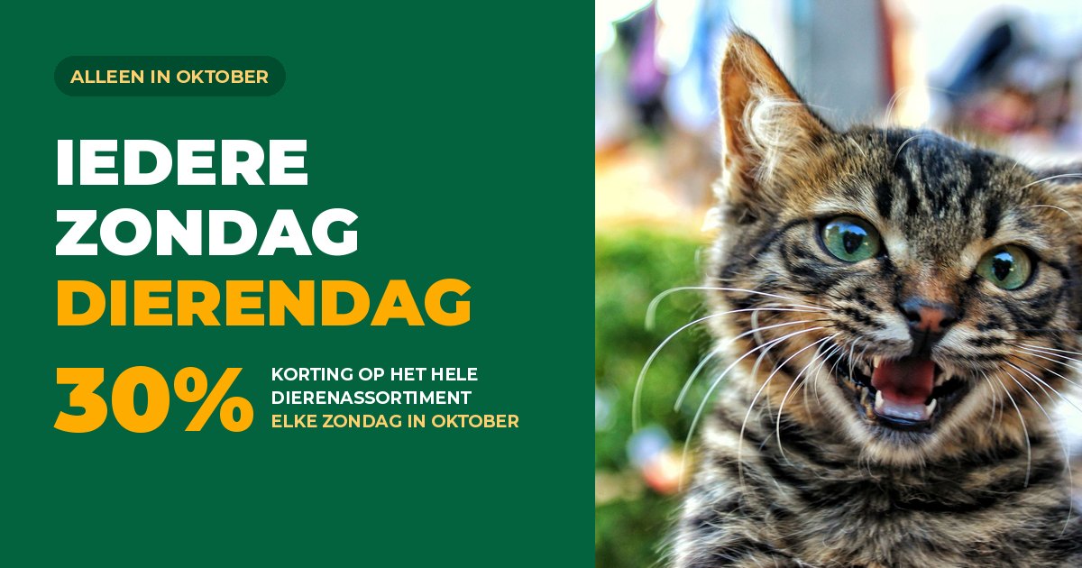 Dierendag acties